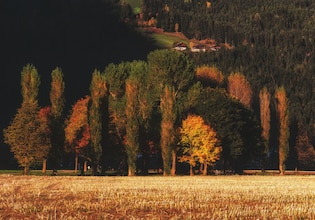 Autumn landscape photos