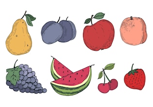 fruits drawings