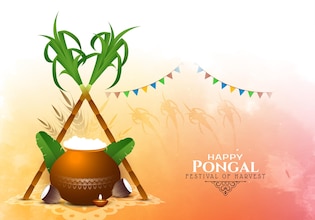 Pongal backgrounds
