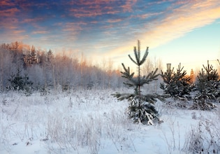 Winter landscape photos