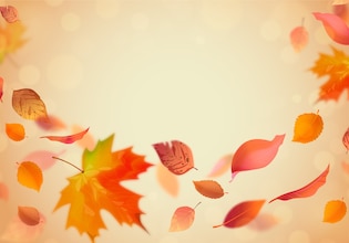 fall leaves backgrounds