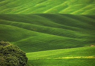 Green landscape photos