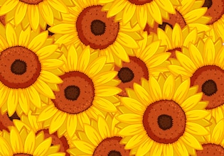 Sunflower backgrounds