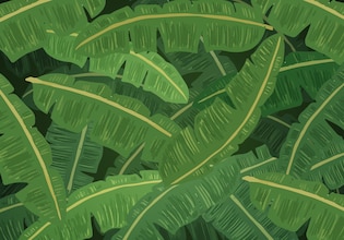 Banana leaf backgrounds