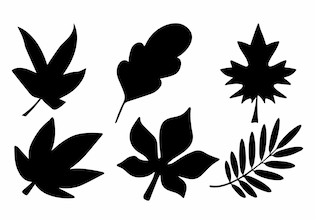 fall leaf silhouettes